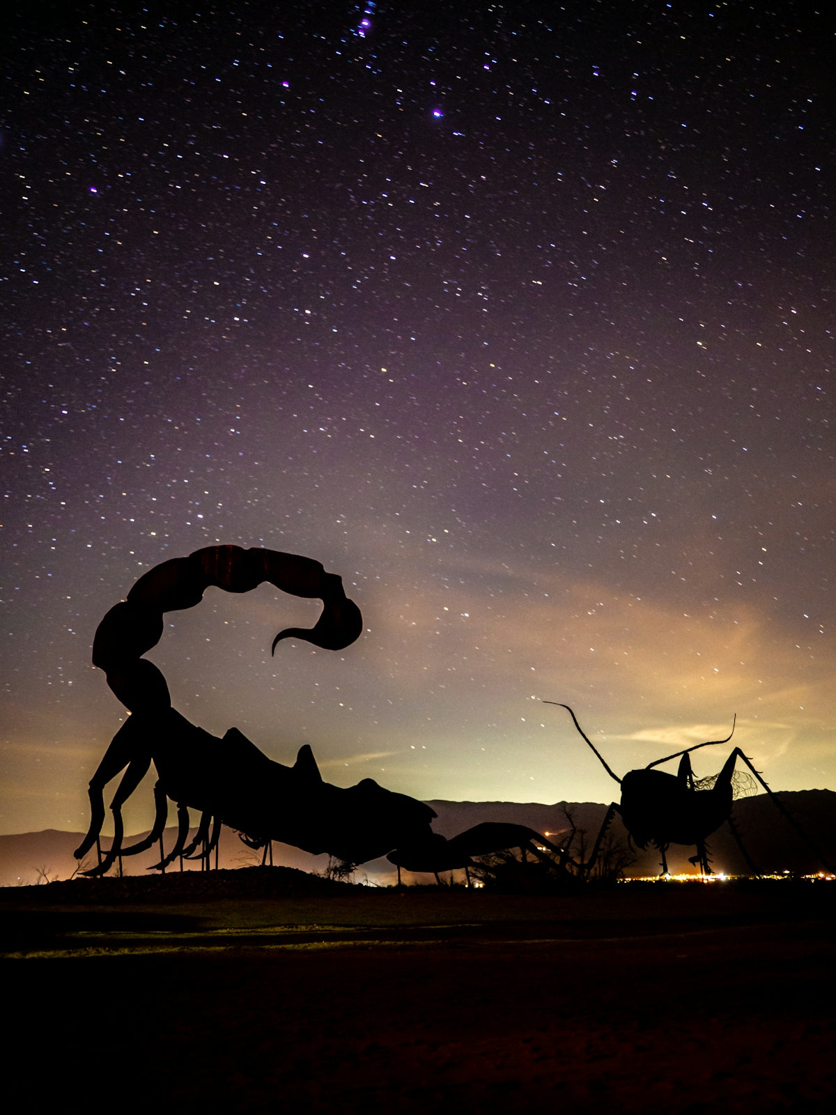A scorpion sculpture under a starry night.